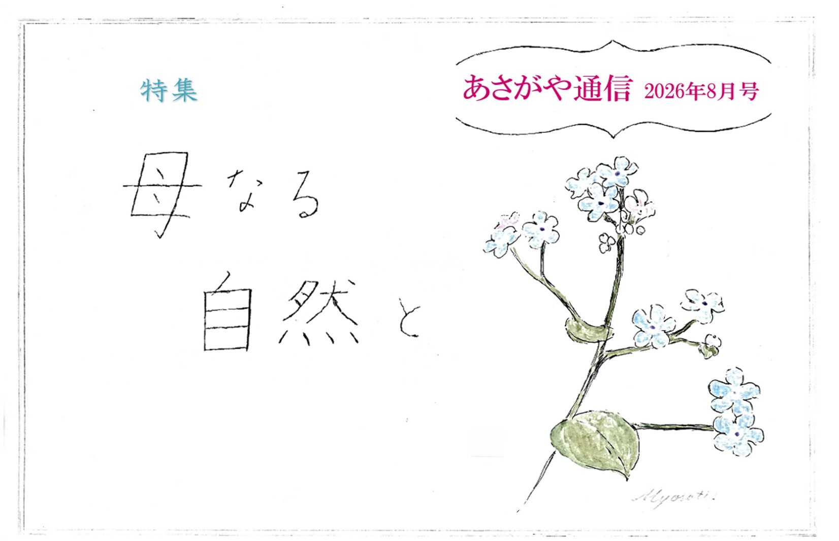 一般 2026.8表紙.jpg