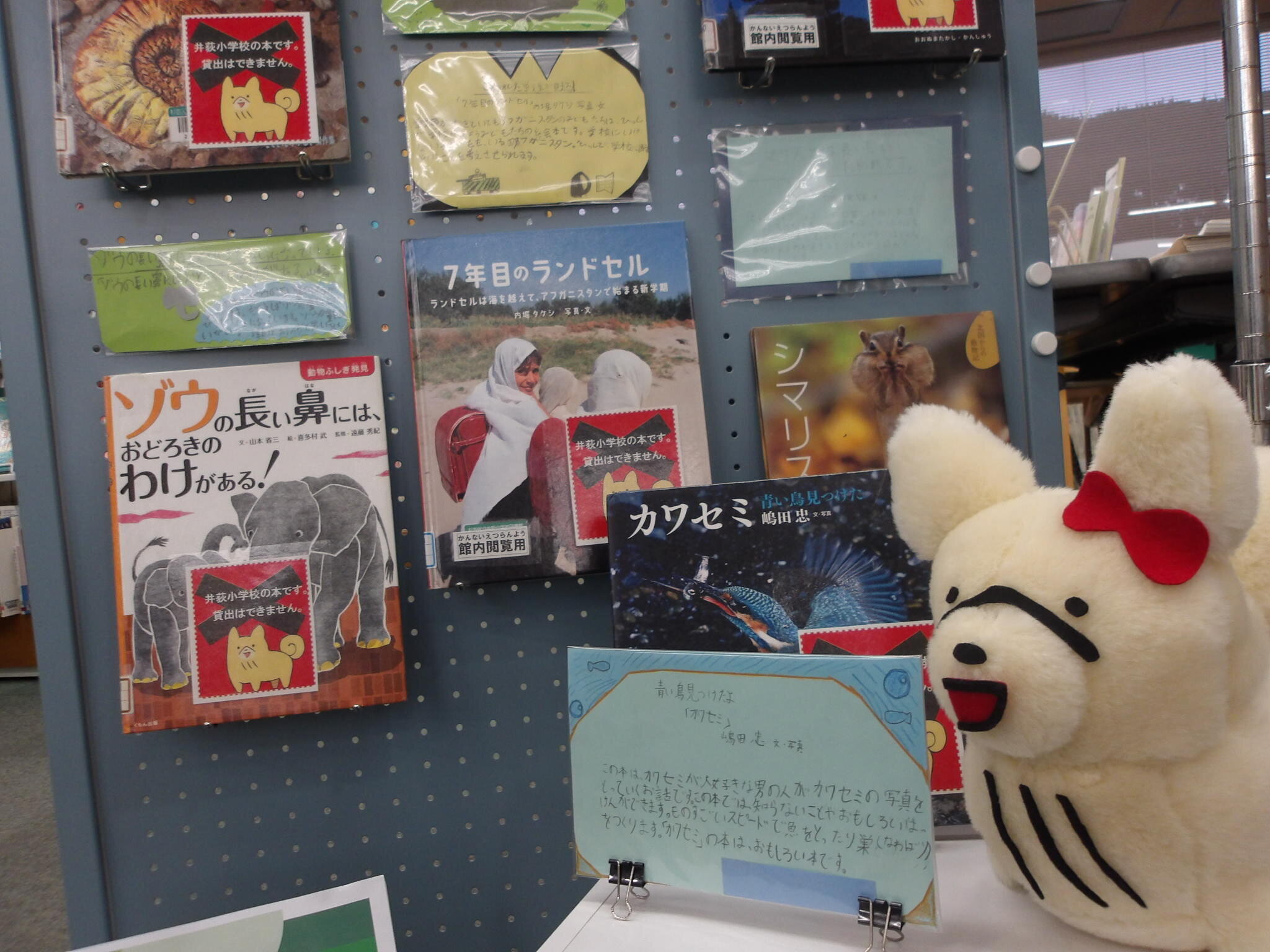 展示の写真2