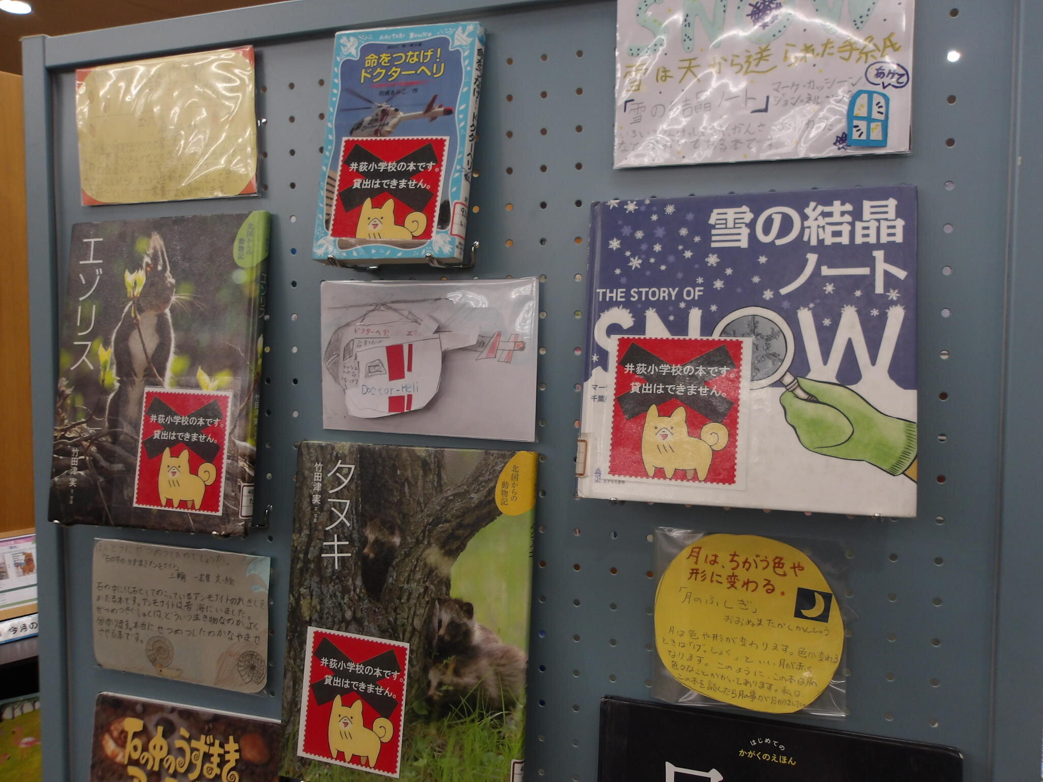 展示の写真4