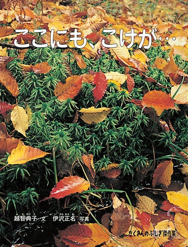 ここにも、こけが