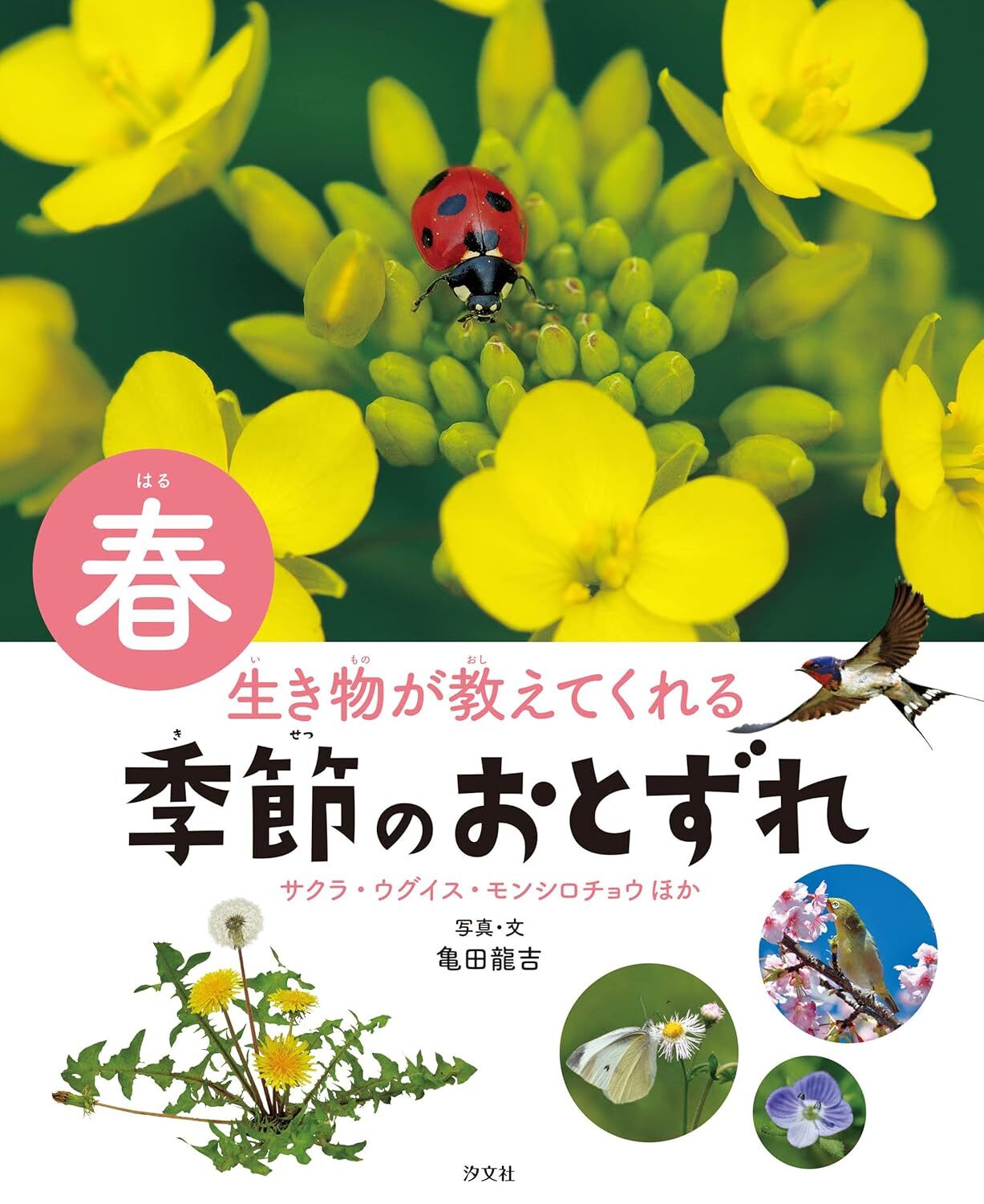 4生き物が教えてくれる季節のおとずれ 春.jpg