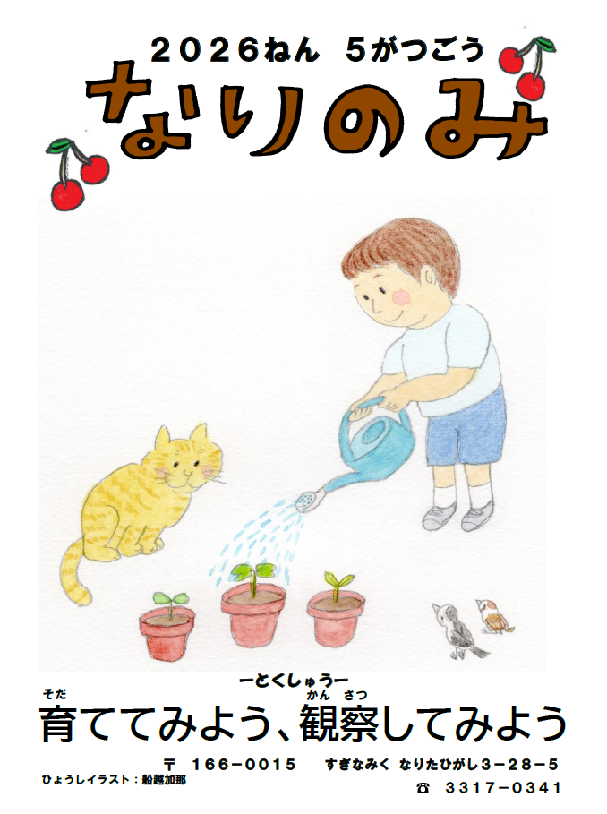 なりのみ表紙.png